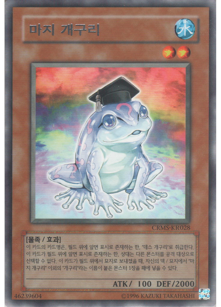 마지 개구리 (Rare Unlimited)