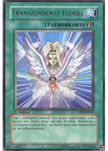 Transzendente Flügel