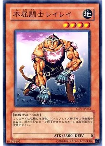 不屈闘士レイレイ