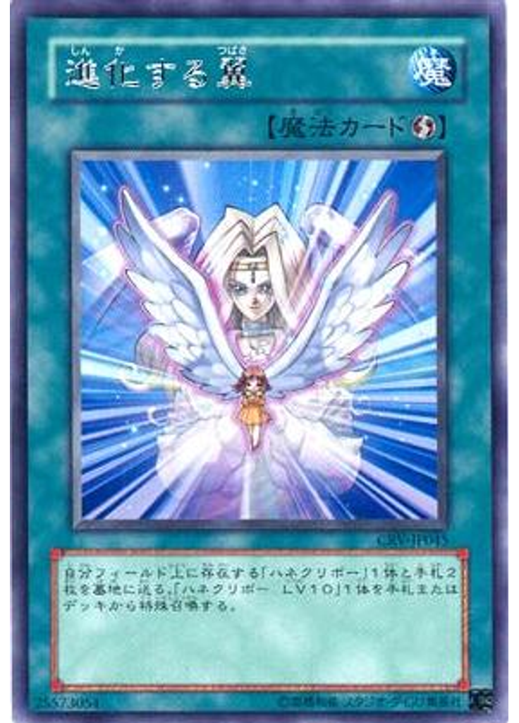 進化する翼
