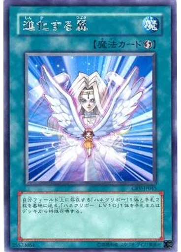 進化する翼