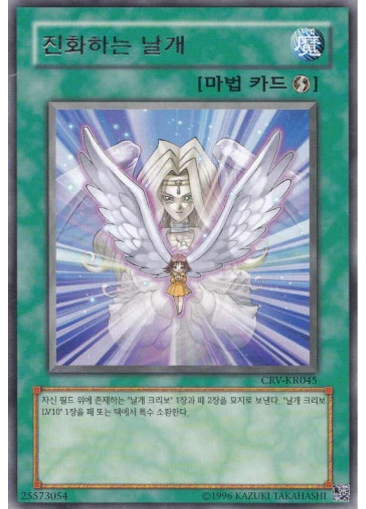 진화하는 날개 (Rare Unlimited)