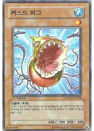 커스드 피그