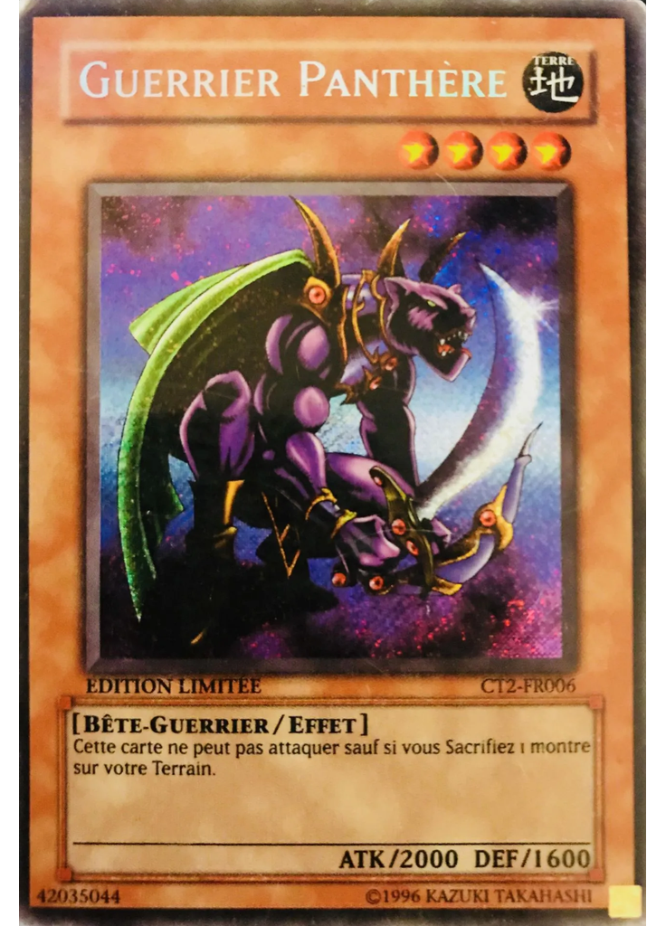Guerrier Panthère