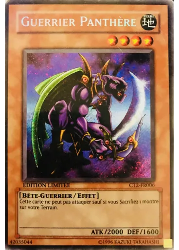 Guerrier Panthère — Boîtes à Collectionner 2005