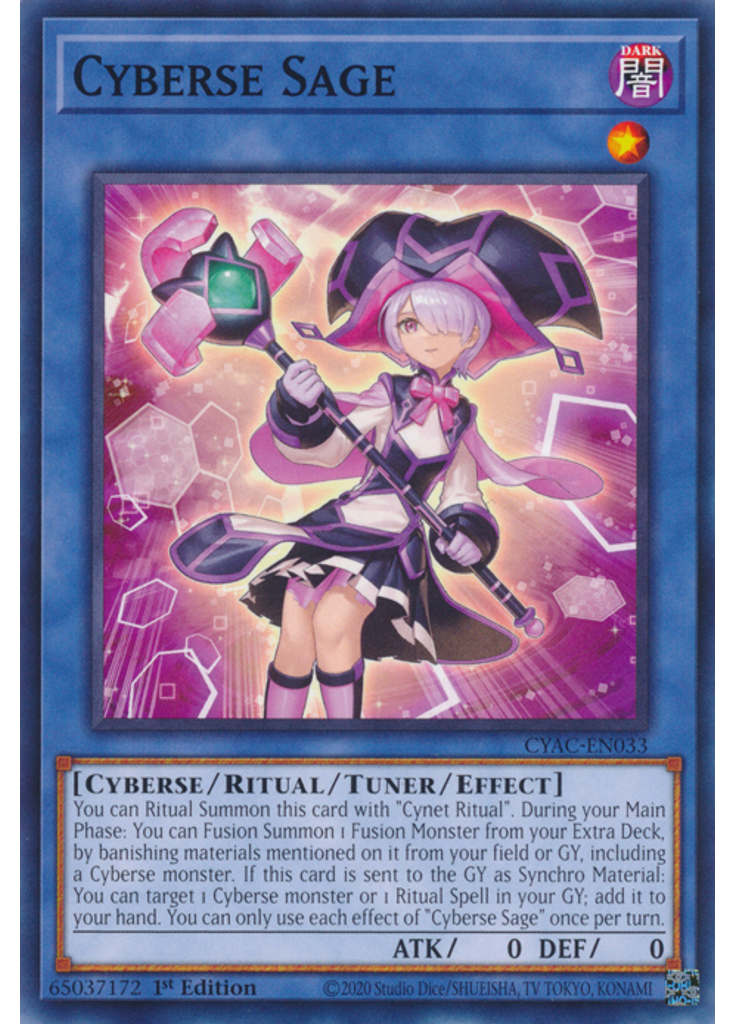 Cyberse Sage