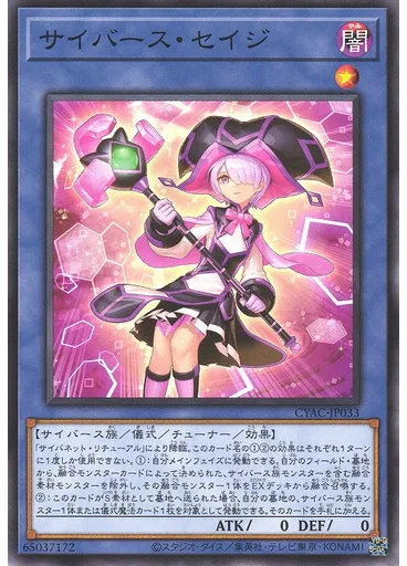 サイバース・セイジ