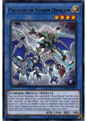 Paladin of Storm Dragon