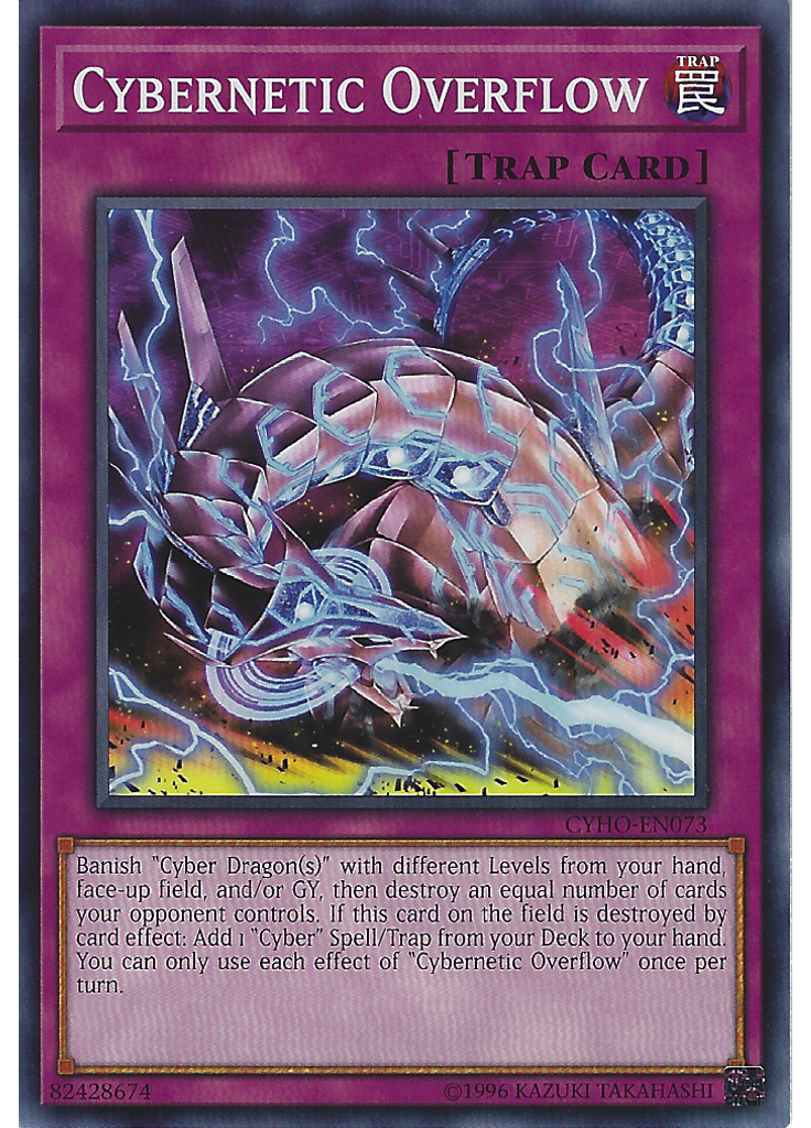 Cybernetic Overflow (Common Unlimited)