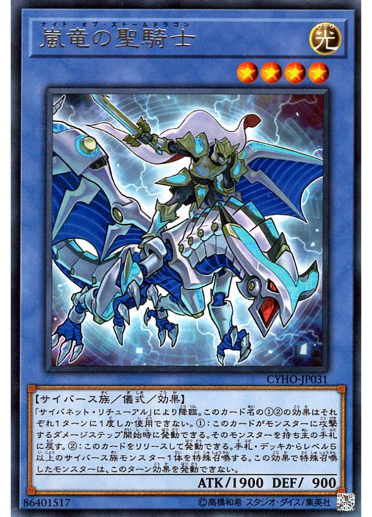 嵐竜の聖騎士