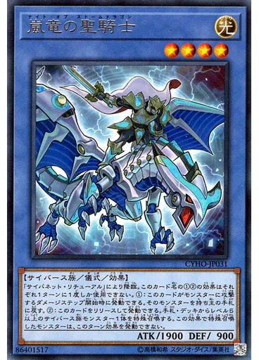 嵐竜の聖騎士