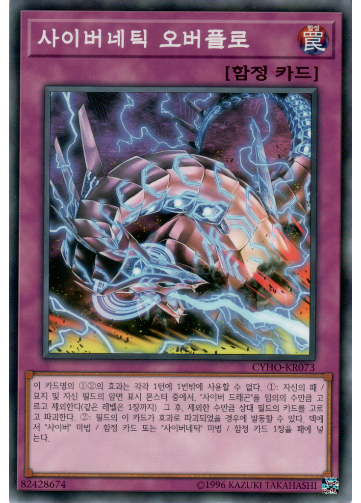 사이버네틱 오버플로