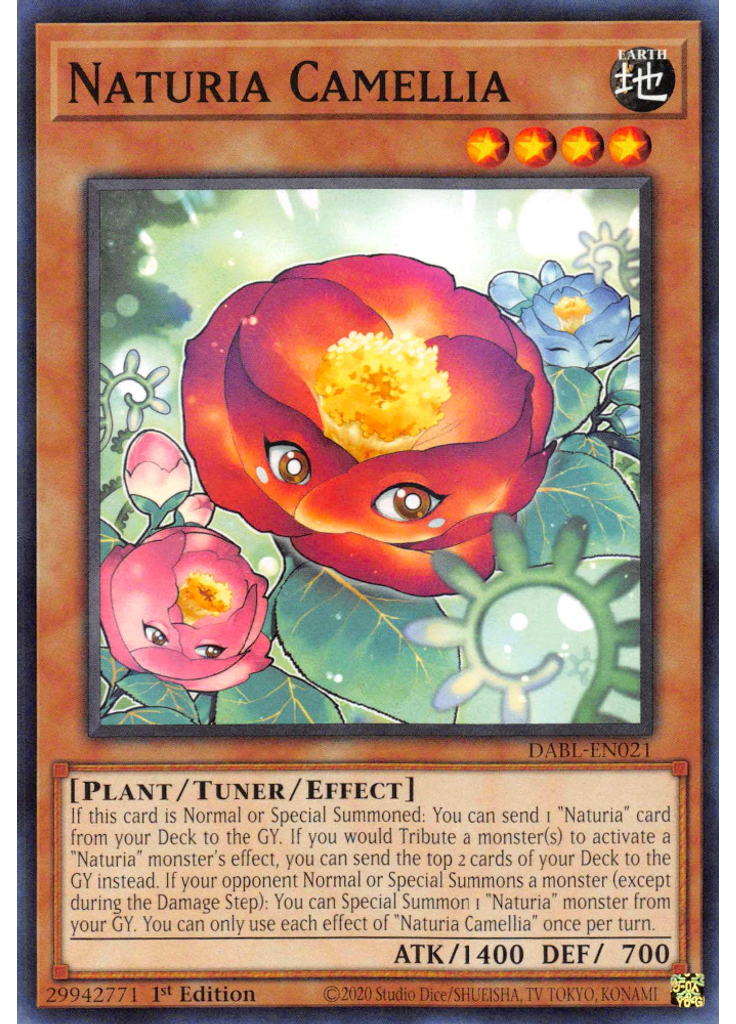 Naturia Camellia