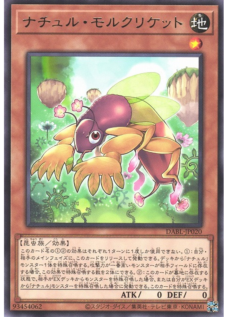 ナチュル・モルクリケット