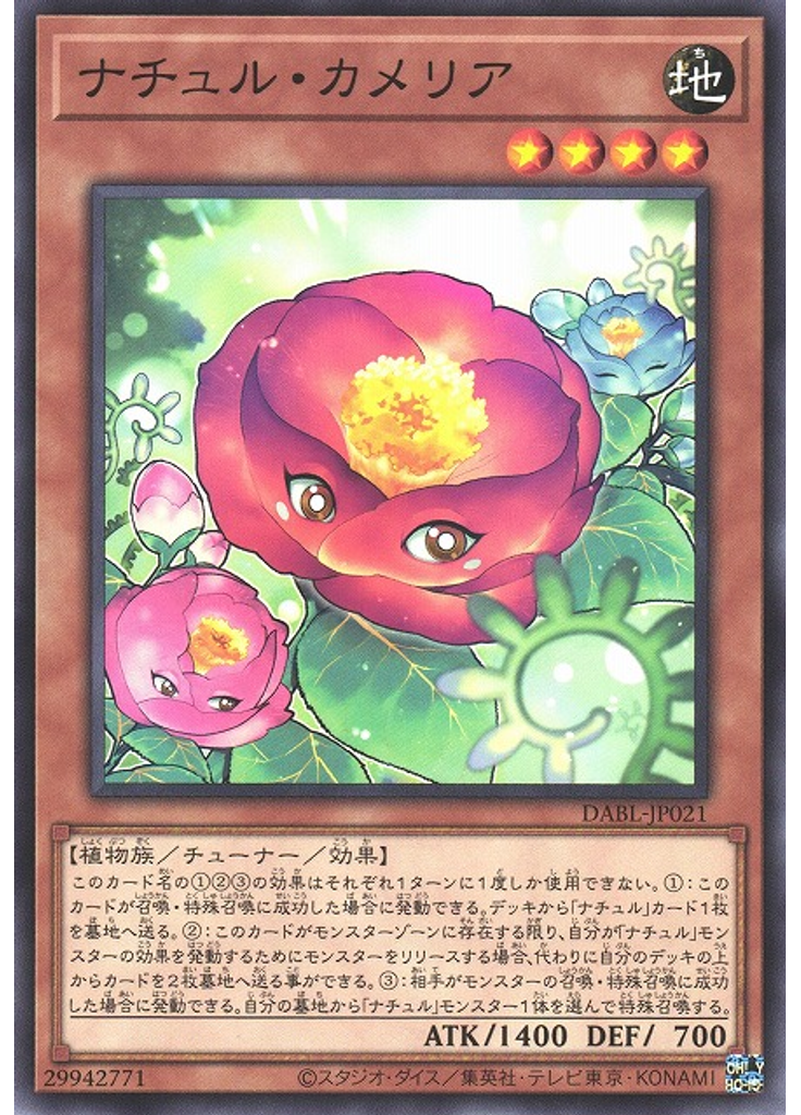 ナチュル・カメリア