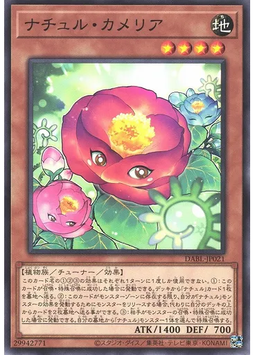 ナチュル・カメリア
