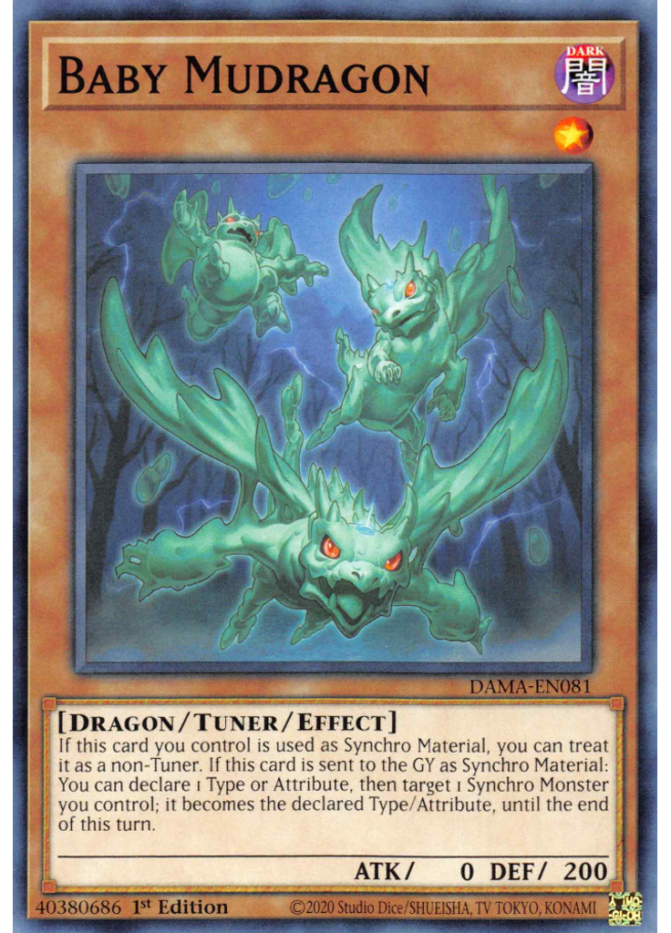 Baby Mudragon