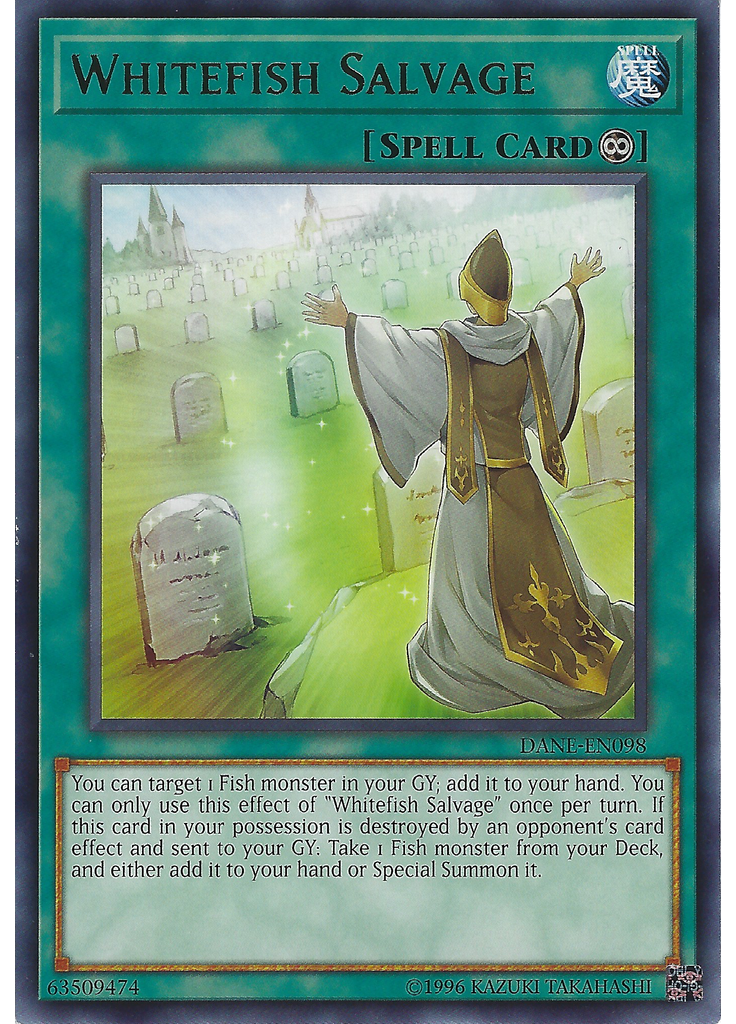 Whitefish Salvage (Rare Unlimited)