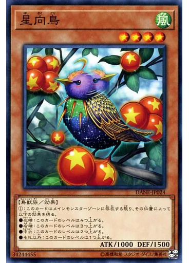 星向鳥