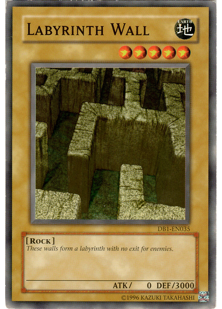 Labyrinth Wall