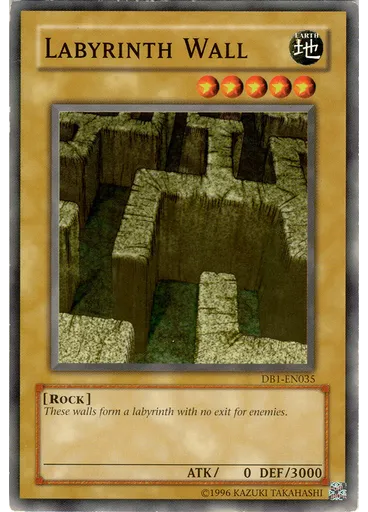Labyrinth Wall