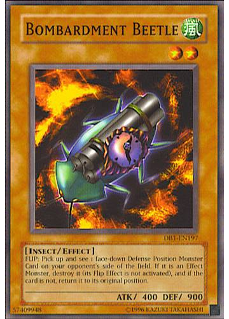 Bombardment Beetle
