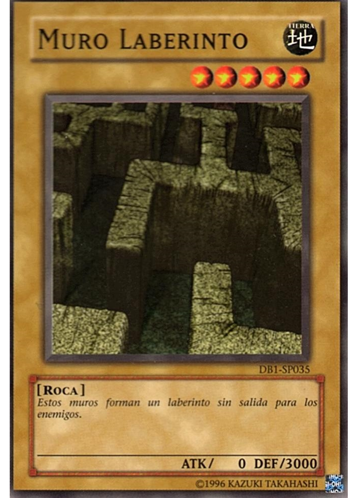 Muro Laberinto