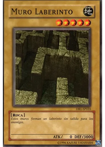 Muro Laberinto