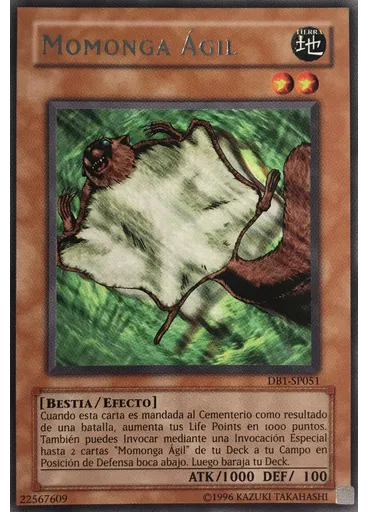 Momonga Ágil