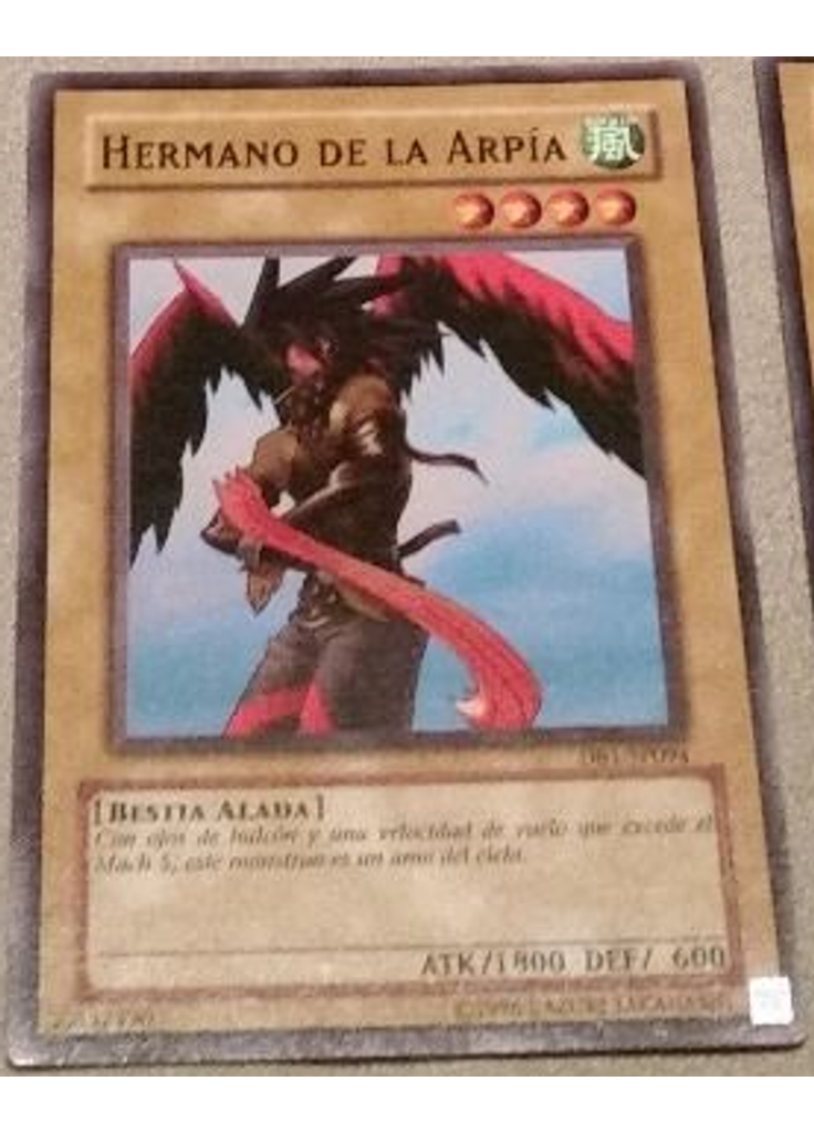Explorador del Cielo