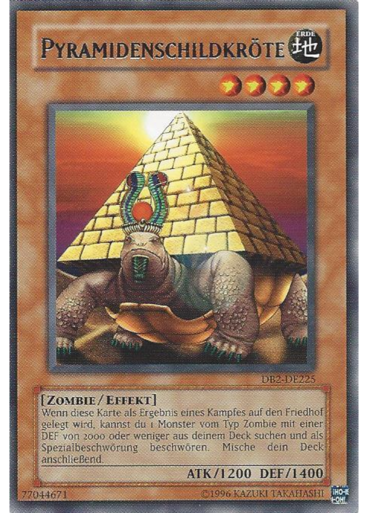 Pyramidenschildkröte