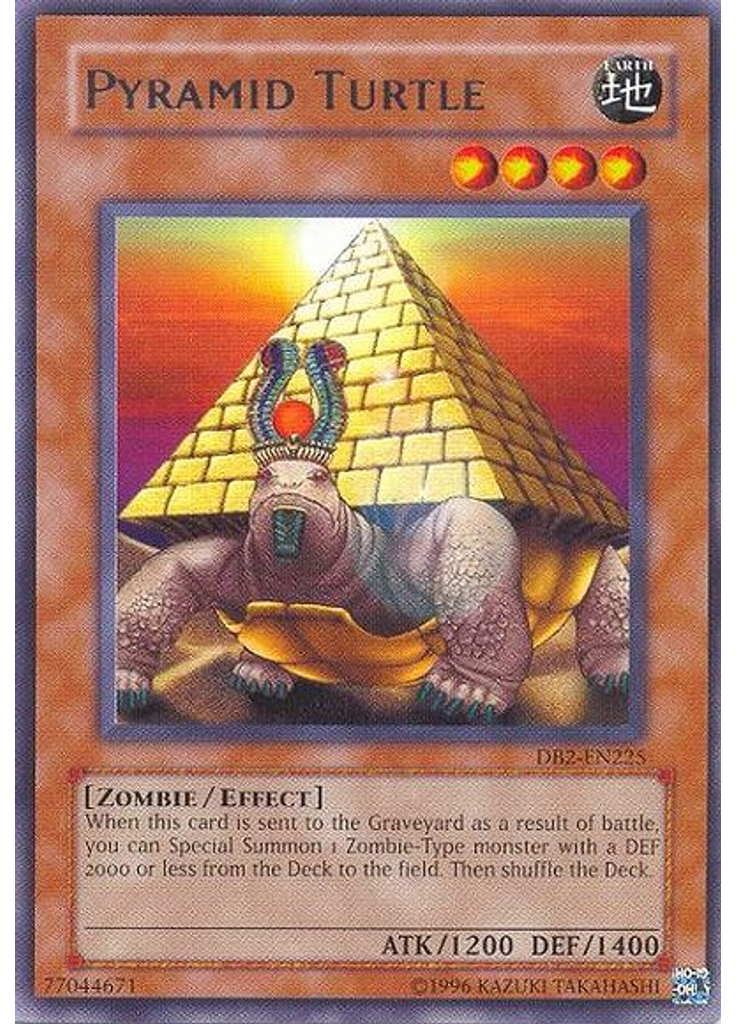 Pyramid Turtle