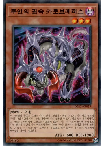 주안의 권속 카토브레퍼스