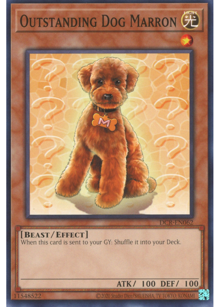 Outstanding Dog Marron