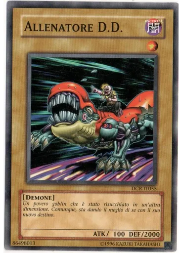 Allenatore D.D.