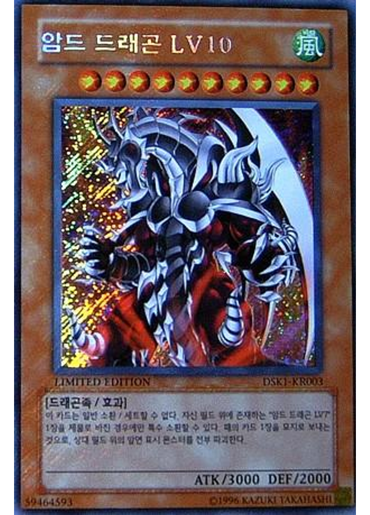 암드 드래곤 LV10