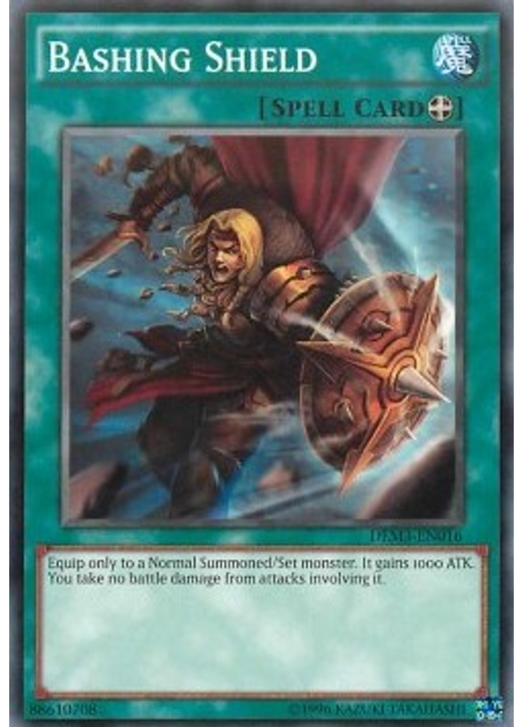 Bashing Shield