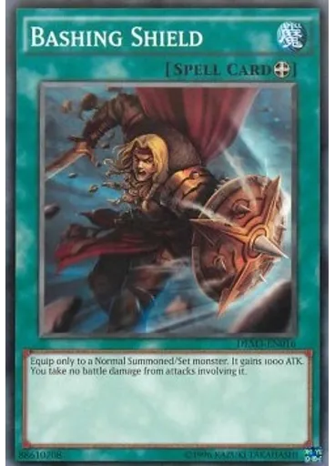 Bashing Shield