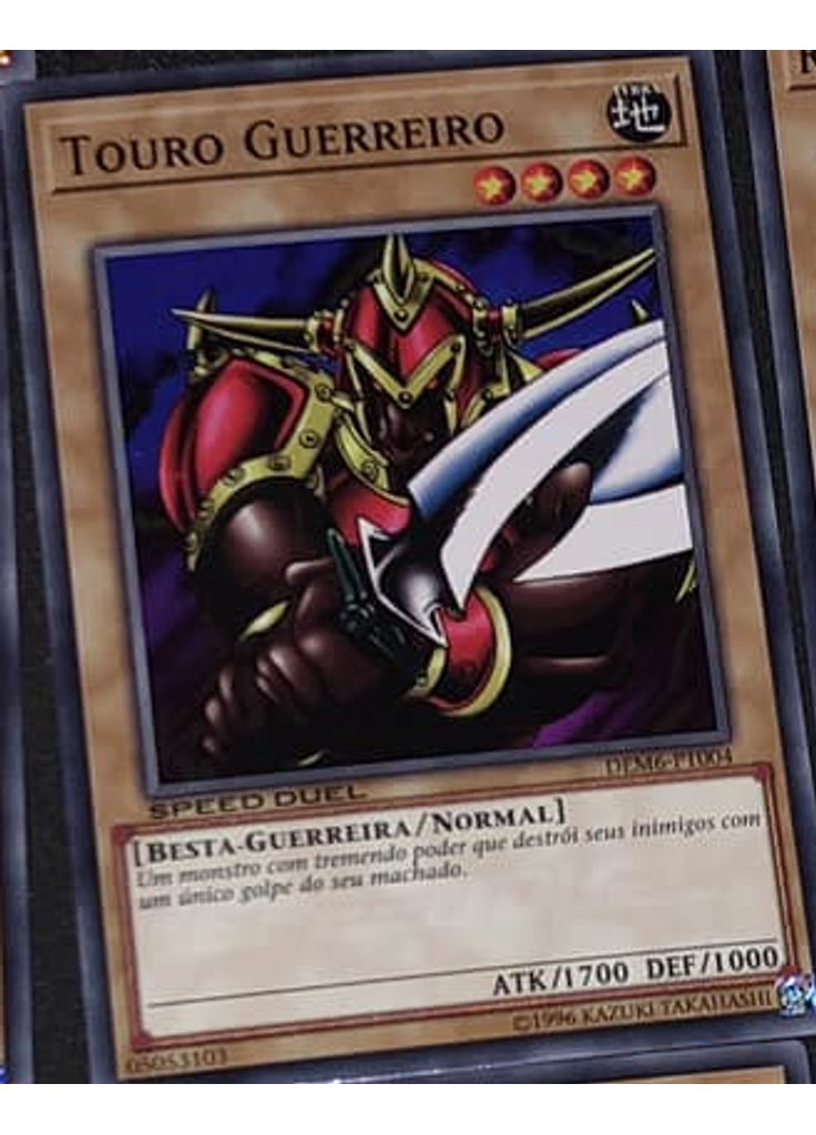 Touro Guerreiro