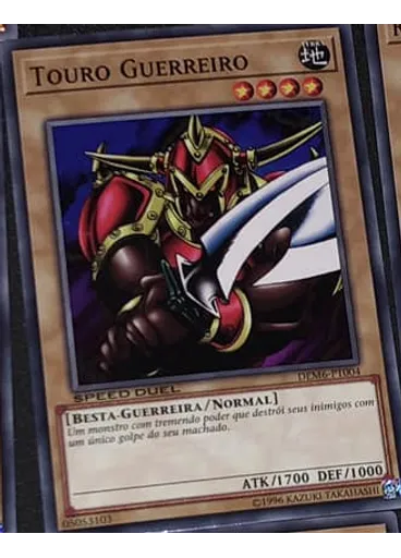 Touro Guerreiro