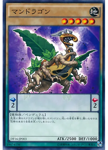 マンドラゴン