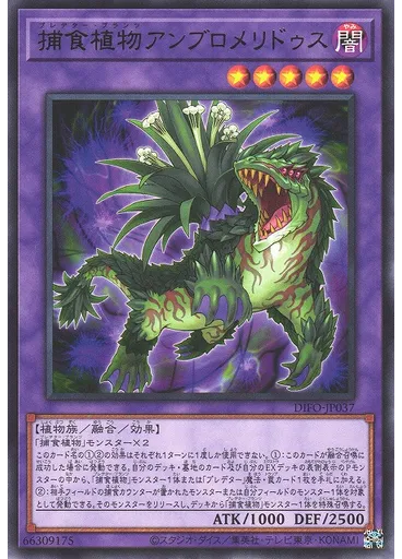 捕食植物アンブロメリドゥス