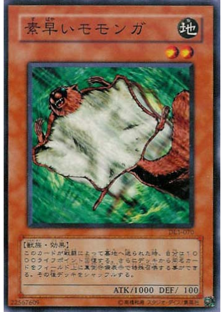 素早いモモンガ