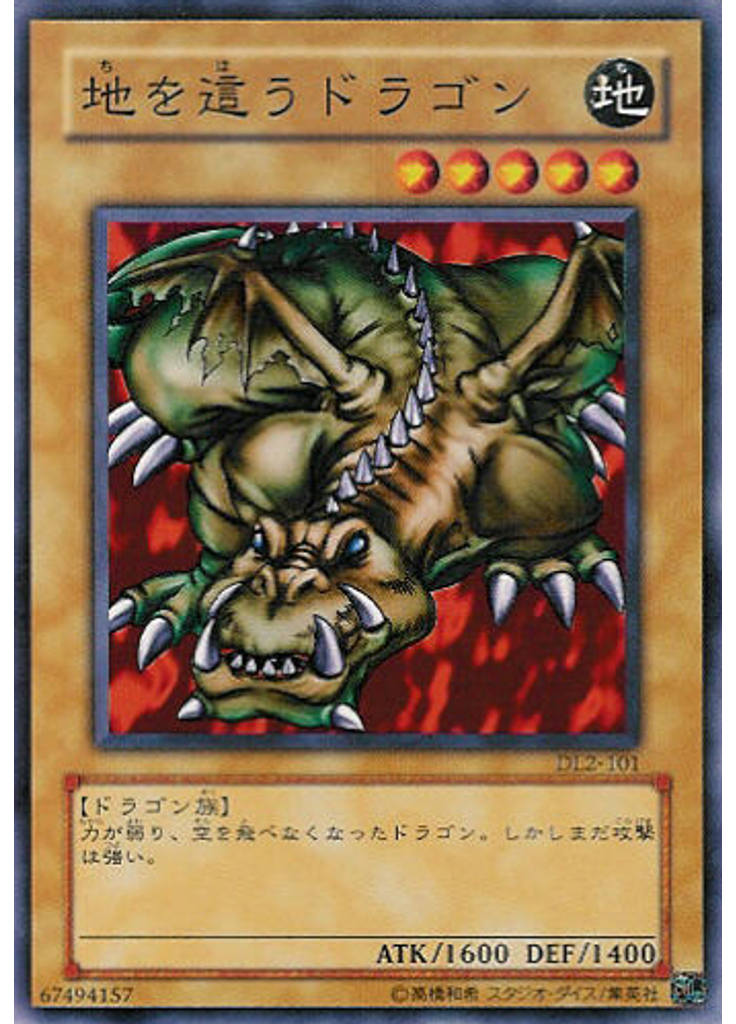 地を這うドラゴン