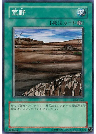荒野