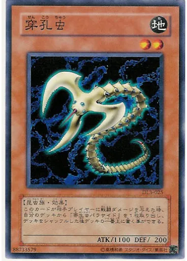 穿孔虫