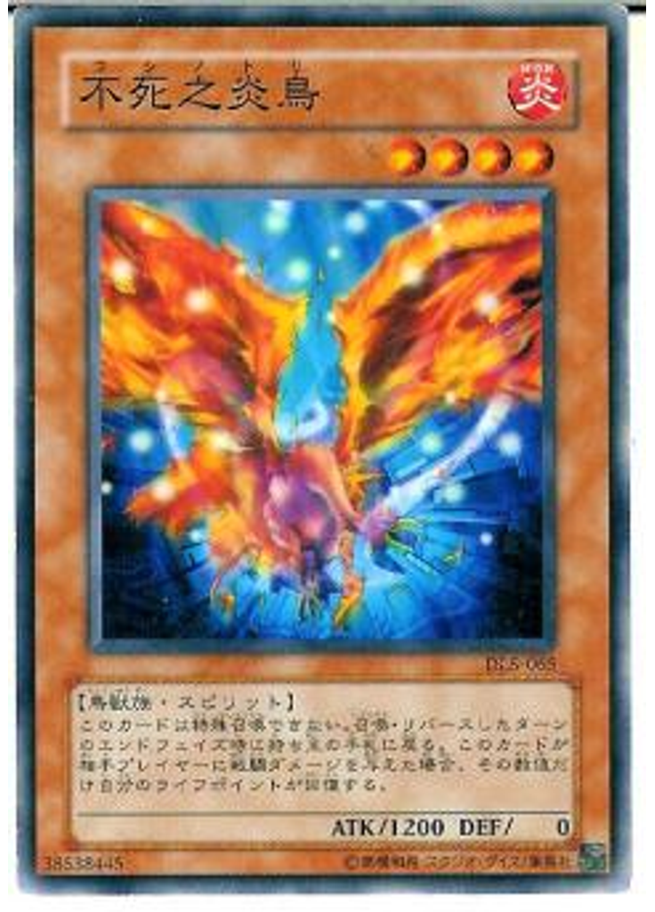 不死之炎鳥