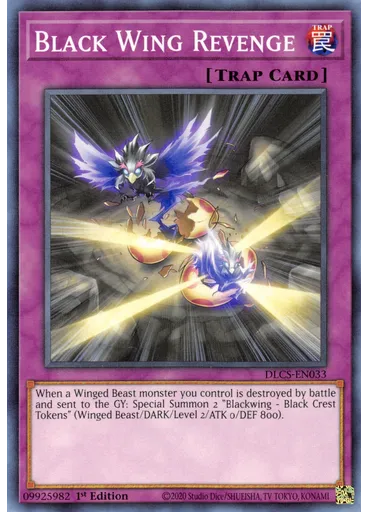 Black Wing Revenge