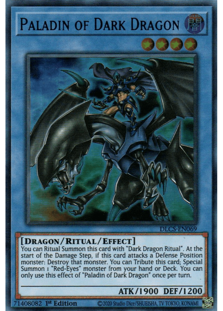Paladin of Dark Dragon
