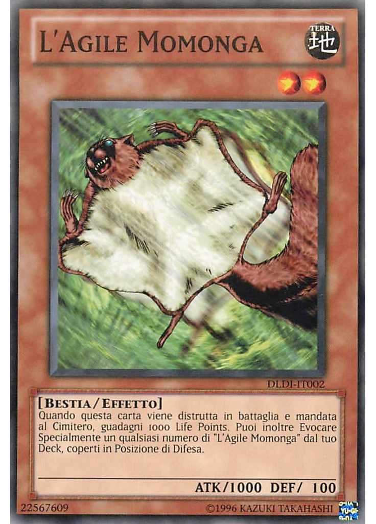 L'Agile Momonga